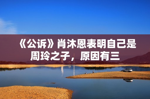 《公诉》肖沐恩表明自己是周玲之子，原因有三