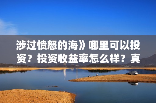 涉过愤怒的海》哪里可以投资？投资收益率怎么样？真实吗？(涉过愤怒的海周依然做出的牺牲)