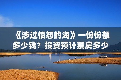 《涉过愤怒的海》一份份额多少钱？投资预计票房多少？(涉过愤怒的海在线播放免费观看全集电视剧爱奇艺)