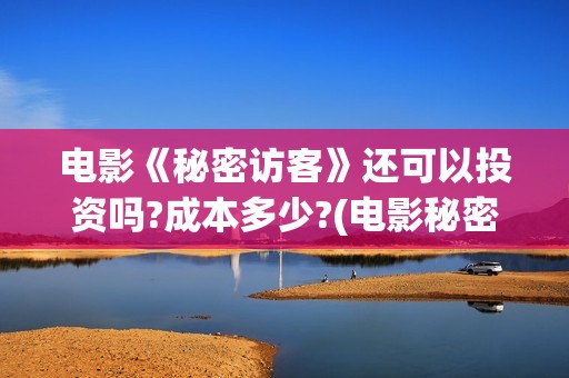 电影《秘密访客》还可以投资吗?成本多少?(电影秘密访客故事讲的是什么)