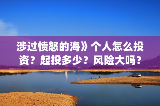涉过愤怒的海》个人怎么投资？起投多少？风险大吗？(涉过愤怒的海免费观看完整版电视剧高清)