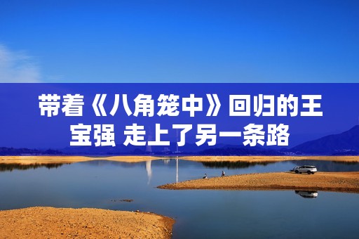 带着《八角笼中》回归的王宝强 走上了另一条路