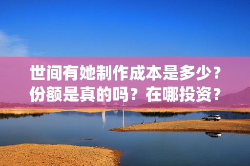 世间有她制作成本是多少？份额是真的吗？在哪投资？(世间有她什么题材)