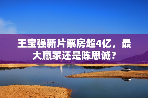 王宝强新片票房超4亿，最大赢家还是陈思诚？