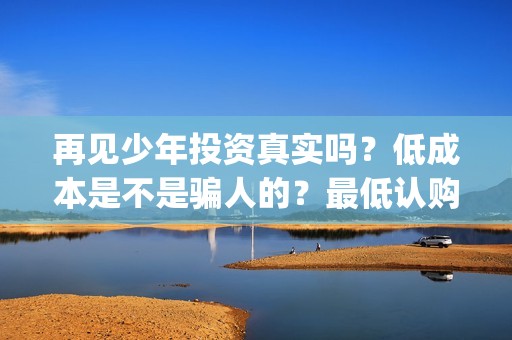 再见少年投资真实吗？低成本是不是骗人的？最低认购一份多少钱？(再见少年投资方)