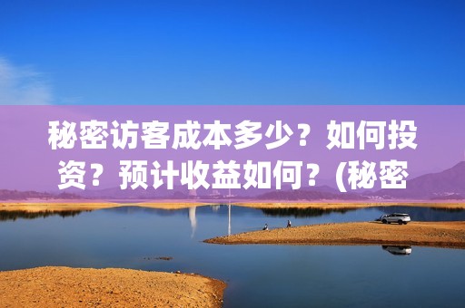 秘密访客成本多少？如何投资？预计收益如何？(秘密访客啥玩意)