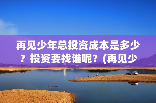 再见少年总投资成本是多少？投资要找谁呢？(再见少年原名)