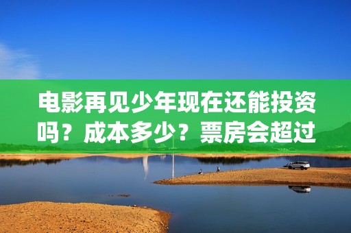 电影再见少年现在还能投资吗？成本多少？票房会超过我的姐姐吗？(电影再见少年真实事件原型)