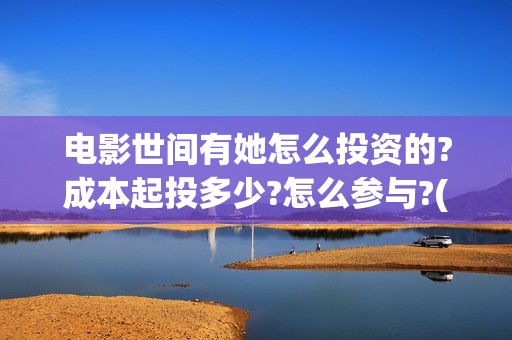 电影世间有她怎么投资的?成本起投多少?怎么参与?(《世间有她》)