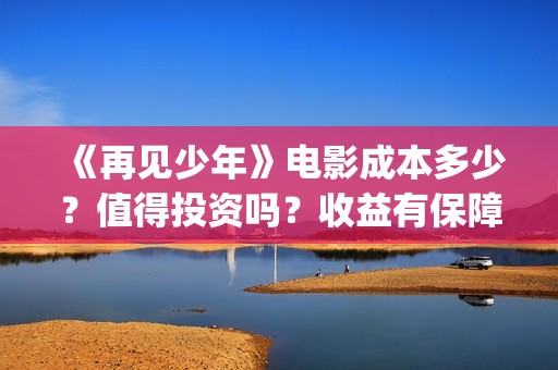 《再见少年》电影成本多少？值得投资吗？收益有保障吗？(再见少年是什么电影)