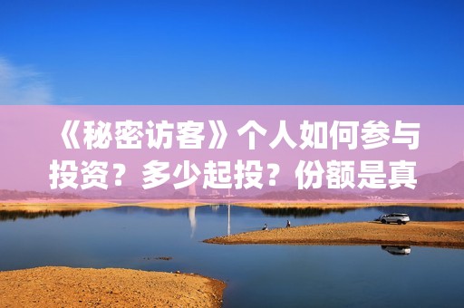 《秘密访客》个人如何参与投资？多少起投？份额是真实的吗？(秘密访客细节解说)