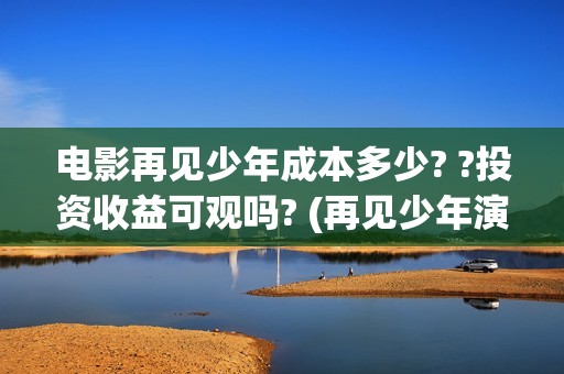 电影再见少年成本多少? ?投资收益可观吗? (再见少年演的啥)