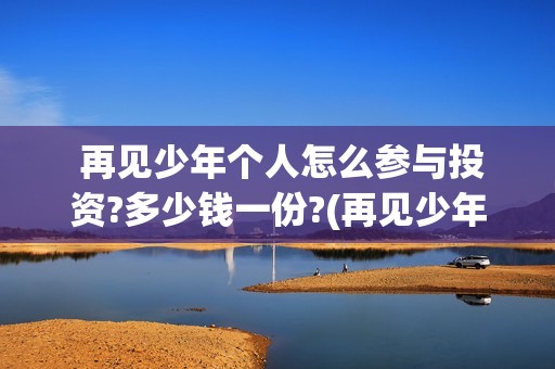  再见少年个人怎么参与投资?多少钱一份?(再见少年mv)