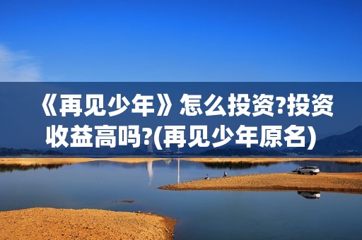 《再见少年》怎么投资?投资收益高吗?(再见少年原名)