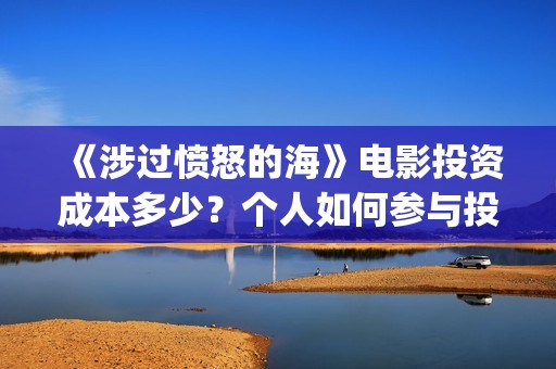 《涉过愤怒的海》电影投资成本多少？个人如何参与投资？投资优势有哪些？(涉过愤怒的海剧情解析)