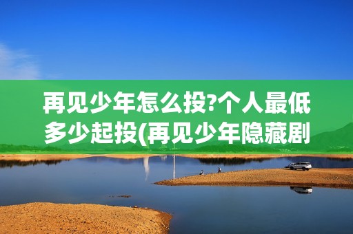 再见少年怎么投?个人最低多少起投(再见少年隐藏剧情)