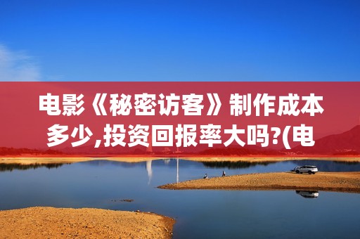 电影《秘密访客》制作成本多少,投资回报率大吗?(电影《秘密访客》免费观看)