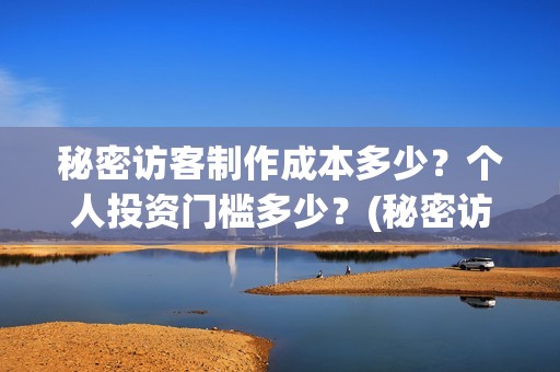 秘密访客制作成本多少？个人投资门槛多少？(秘密访客是什么类型)