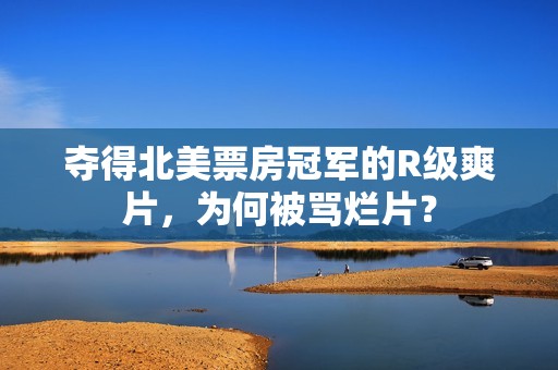 夺得北美票房冠军的R级爽片，为何被骂烂片？