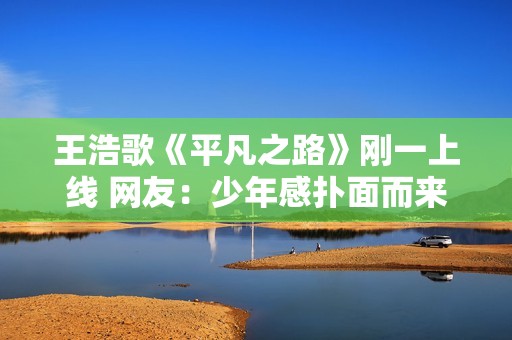 王浩歌《平凡之路》刚一上线 网友：少年感扑面而来