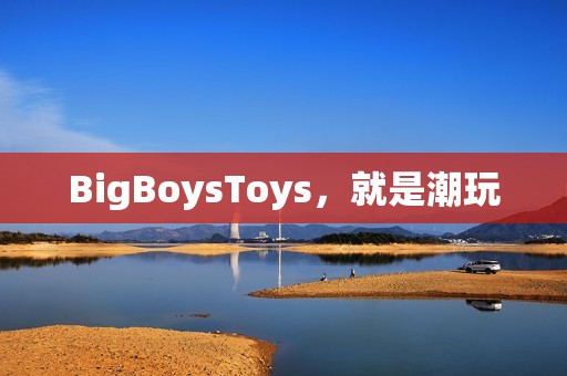BigBoysToys，就是潮玩