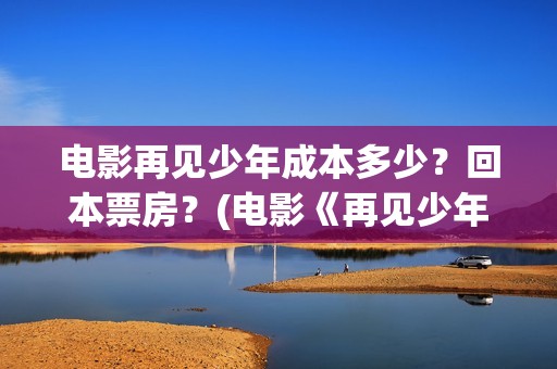 电影再见少年成本多少？回本票房？(电影《再见少年》)