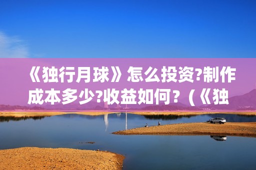 《独行月球》怎么投资?制作成本多少?收益如何？(《独行月球》怎么拍的)