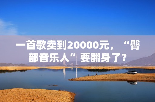 一首歌卖到20000元，“臀部音乐人”要翻身了？