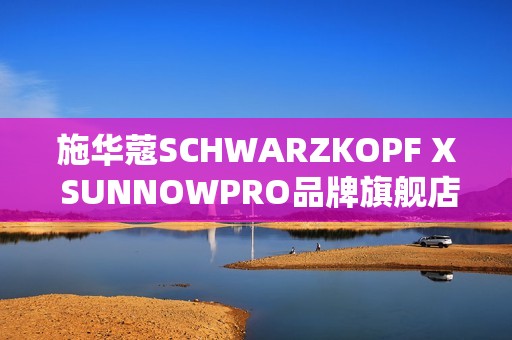 施华蔻SCHWARZKOPF X SUNNOWPRO品牌旗舰店 联袂王鸥 呈献“生而闪烁 让美发作”主题运动