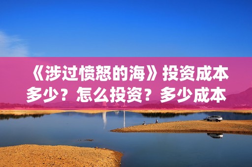 《涉过愤怒的海》投资成本多少？怎么投资？多少成本？(涉过愤怒的海周依然做出的牺牲)
