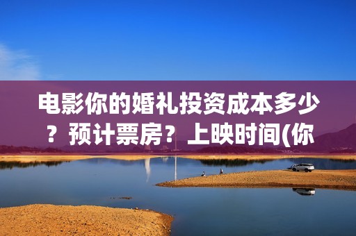 电影你的婚礼投资成本多少？预计票房？上映时间(你的婚礼电影讲解)