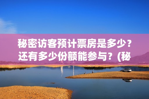 秘密访客预计票房是多少？还有多少份额能参与？(秘密访客预售)
