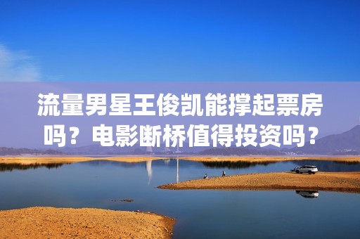 流量男星王俊凯能撑起票房吗？电影断桥值得投资吗？投资成本多少？(男星 王俊凯)