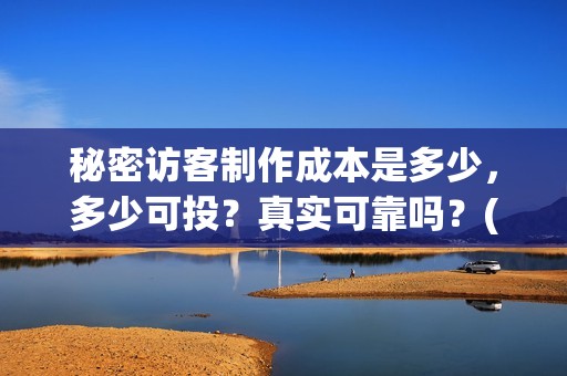 秘密访客制作成本是多少，多少可投？真实可靠吗？(秘密访客说明)