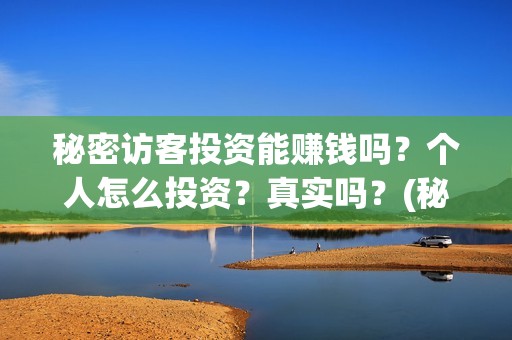 秘密访客投资能赚钱吗？个人怎么投资？真实吗？(秘密访客投资能赚钱吗)