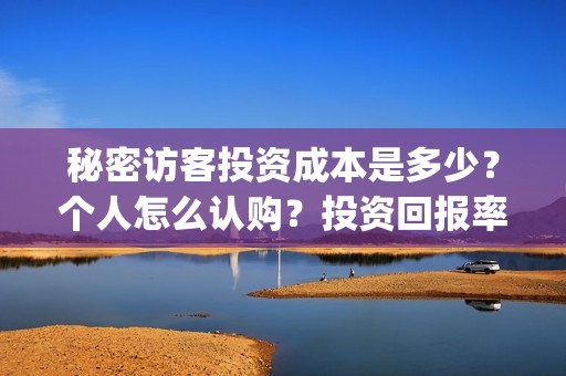 秘密访客投资成本是多少？个人怎么认购？投资回报率高吗？(秘密访客投资成功了吗)