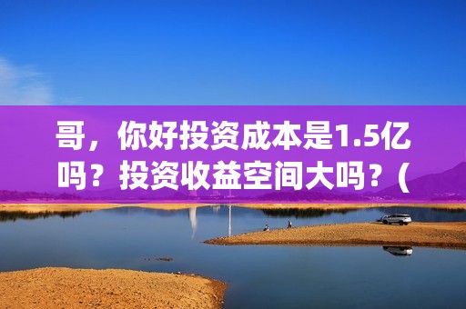 哥，你好投资成本是1.5亿吗？投资收益空间大吗？(鹩哥你好)