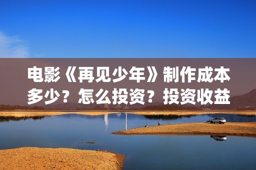 电影《再见少年》制作成本多少？怎么投资？投资收益怎么算？(再见少年电影演员)