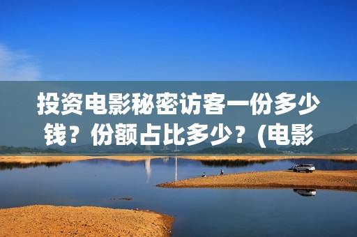 投资电影秘密访客一份多少钱？份额占比多少？(电影秘密百度百科)