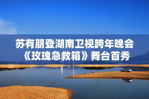 苏有朋登湖南卫视跨年晚会 《玫瑰急救箱》舞台首秀浪漫治愈