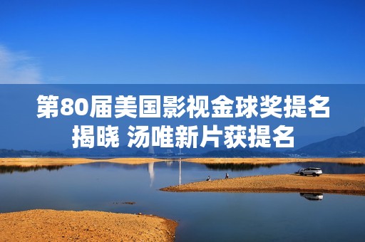 第80届美国影视金球奖提名揭晓 汤唯新片获提名