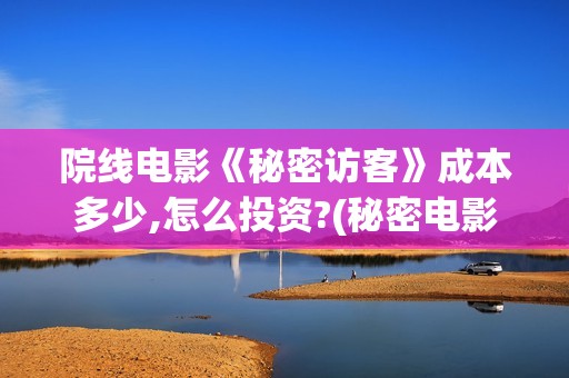 院线电影《秘密访客》成本多少,怎么投资?(秘密电影解析)