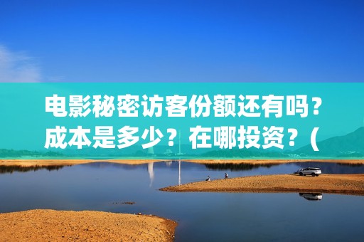 电影秘密访客份额还有吗？成本是多少？在哪投资？(电影秘密访客深度解析)