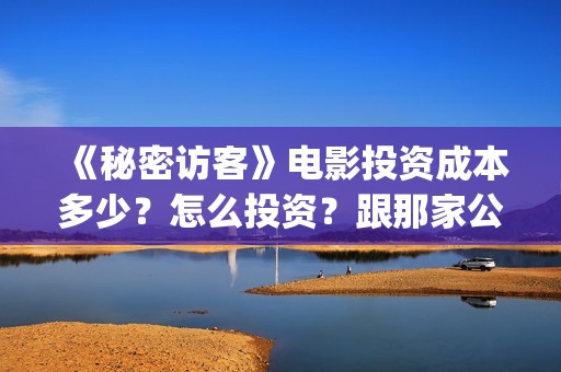 《秘密访客》电影投资成本多少？怎么投资？跟那家公司签合同？(《秘密访客》电影演员表)
