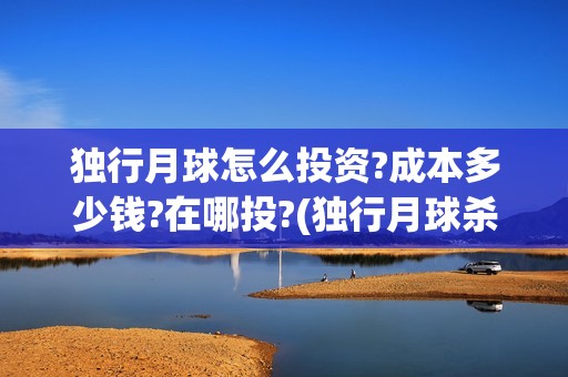 独行月球怎么投资?成本多少钱?在哪投?(独行月球杀青了吗)