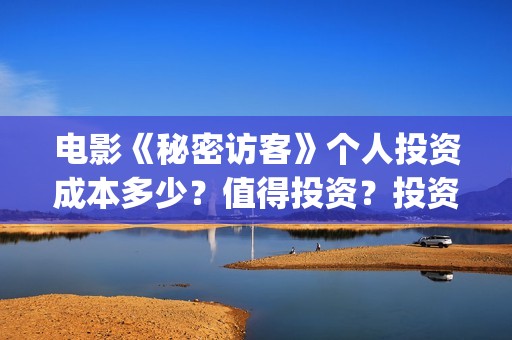 电影《秘密访客》个人投资成本多少？值得投资？投资分红多少？(秘密访客完整剧情)