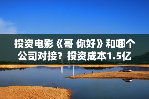 投资电影《哥 你好》和哪个公司对接？投资成本1.5亿值得参与吗？