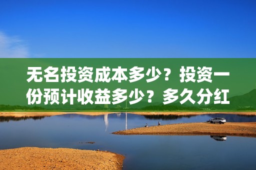 无名投资成本多少？投资一份预计收益多少？多久分红？(无名创投)