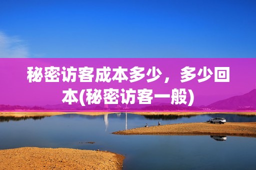 秘密访客成本多少，多少回本(秘密访客一般)
