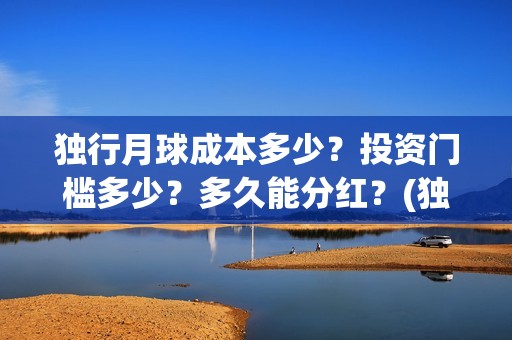 独行月球成本多少？投资门槛多少？多久能分红？(独行月球制片人)